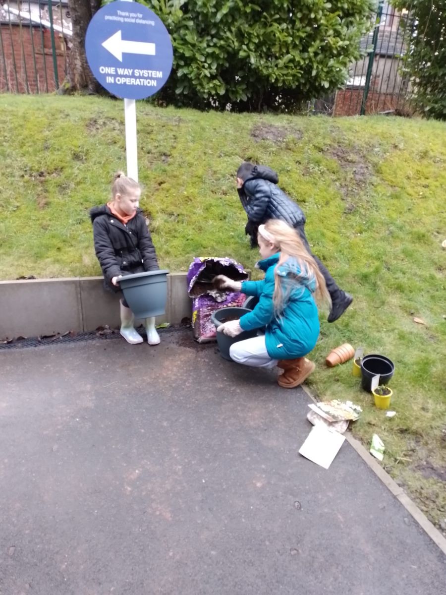 image-20230208101929-6.jpeg
