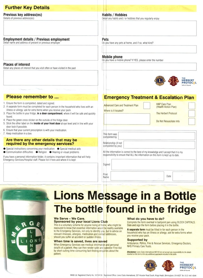 lion4